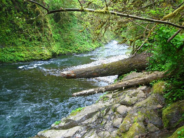 Eagle Creek-119.JPG - Eagle Creek